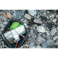 【EVERNEW】Water carry 1500ml Grey